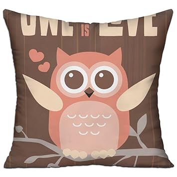 Amazon Com Wqbzl Owl You Need Is Love Fashion Decorative Throw