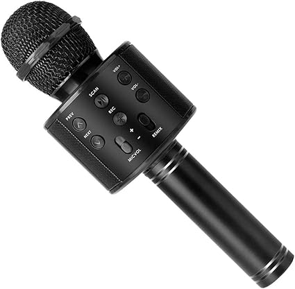 best microphone and speaker for singing