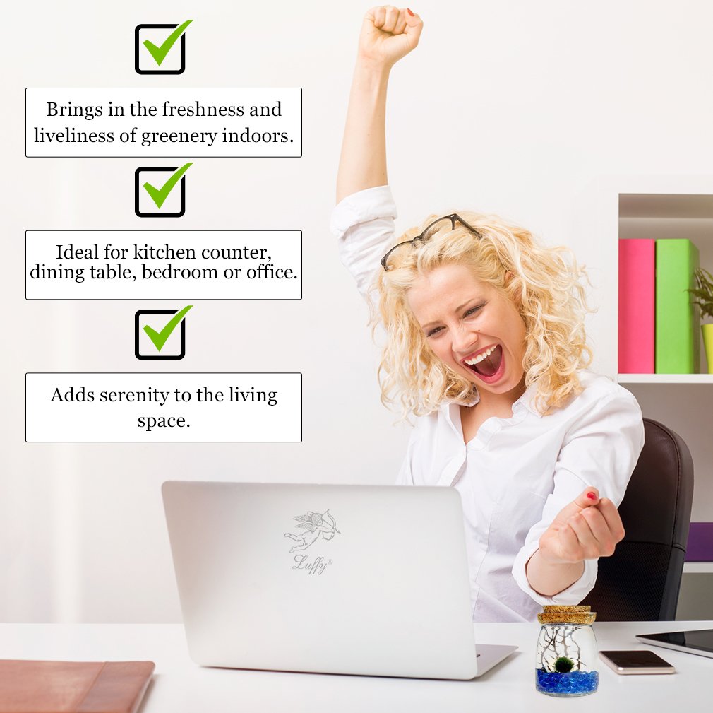 LUFFY Betta Balls: Live Marimo Plants : Natural Toys for Betta Fish : Aquarium Safe (Nano(Gift-Pack))