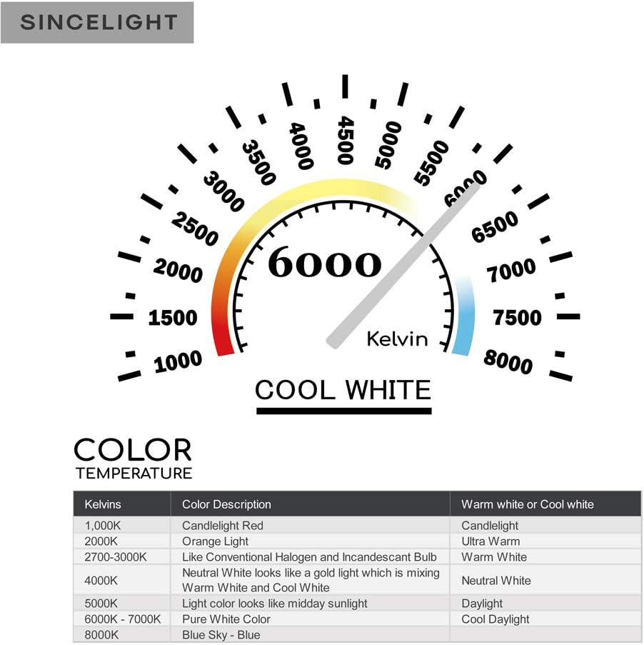 SINCELIGHT MR11 GU4 12V LED Small Spotlight Bulb diameter 35mm Reflector, 3W, 280 Lumens, 25W Halogen Equivalent - Image 5