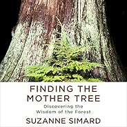 Finding the Mother Tree: Discovering the Wisdom of the Forest