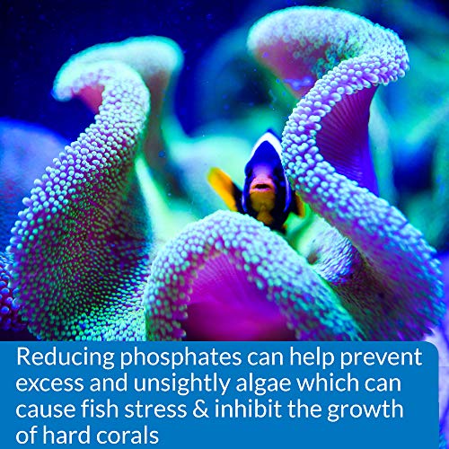 5 API+Phosphate+Test+Freshwater+Saltwater