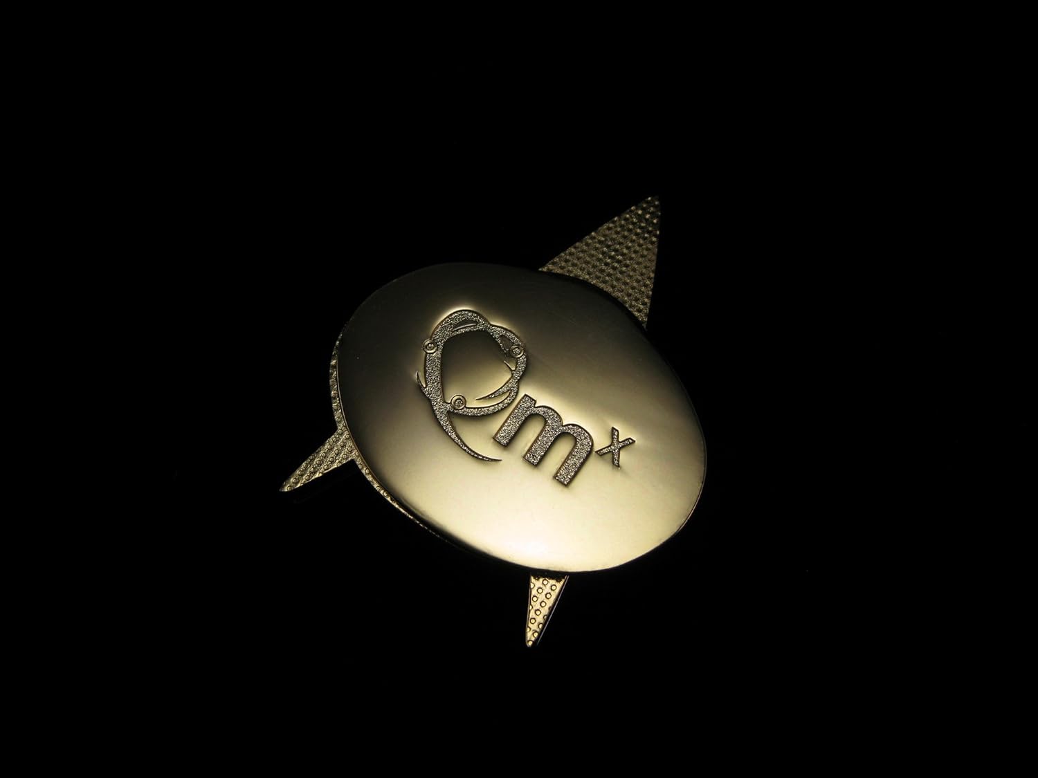 QMX Star Trek The Next Generation Communicator Badge Replica: Toys & Games