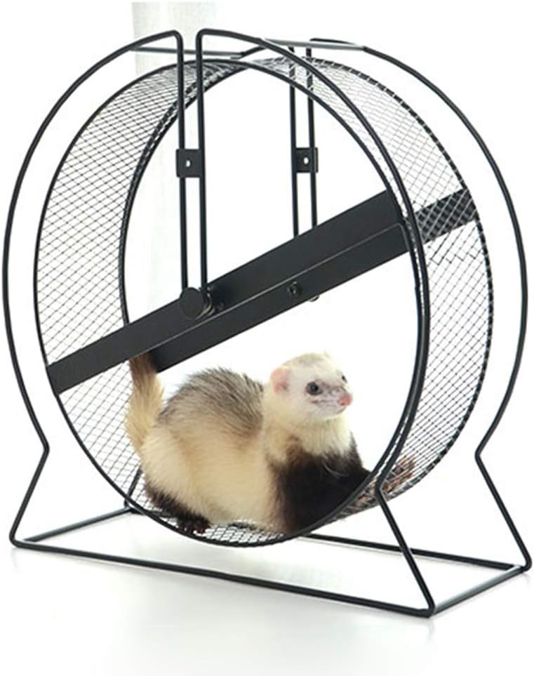 Rueda huron | Los mejores artículos para tu hurón.