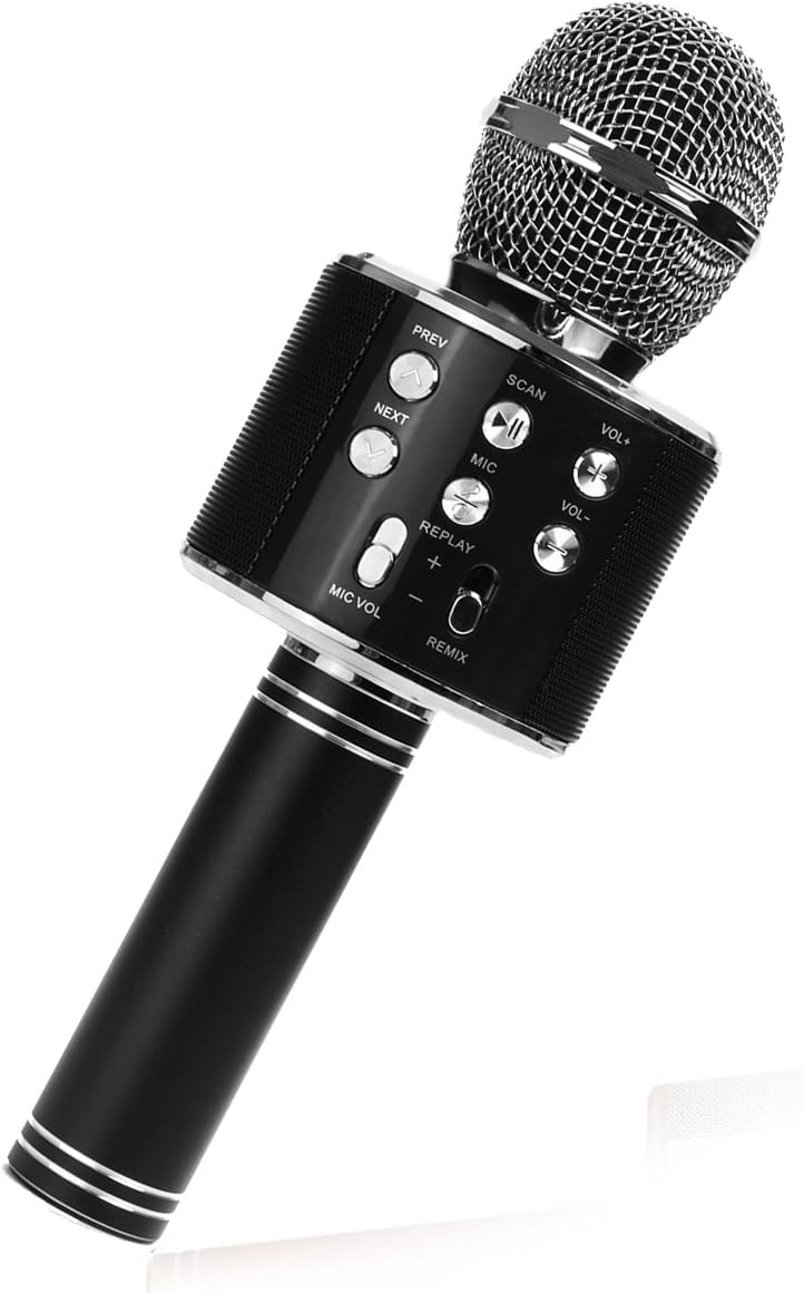 wster microphone speaker