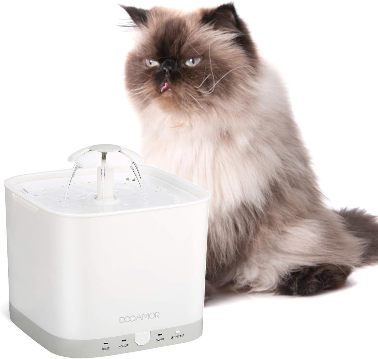Amazon Fontaine à Eau Pour Chat Docamor Fontaine à Eau pour Chat Chien,Automatique et Intelligent