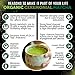 Organic Ceremonial Matcha - Best Taste - USDA Organic - Energy Booster - Green Tea Powder (2oz)