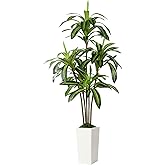 Alupssuc Artificial Dracaena Fake Tree 6FT, White High Pot Artificial Plants Indoor&Outdoor, Fake Plants for Office/Home/Living Room Potted Decoration, 6ft