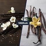 AL ANEEQ Vanilla Perfume Oil for Men Women 10ml Roll On Fragrance Long Lasting view 2