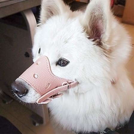dog anti bark muzzle