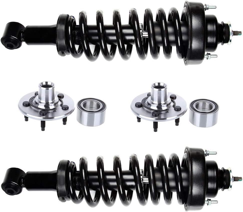 FEIPARTS Struts and Shocks Suspension Kit Rear Strut Spring Assembly Wheel Hub Fit for 2002-2005 Ford Explorer 2002-2005 Mercury Mountaineer Set of 4