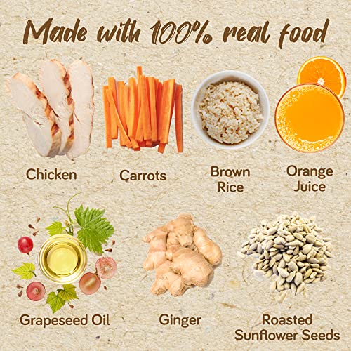 Real Food Blends Chicken, Carrots & Brown Rice Pureed Food Meal for