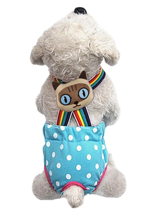 Hunde Hündinnen Schutzhose Haustier Läufigkeit Unterhose Regenbogen Hosenträger Unterwäsche Läufig Pant Welpenhose