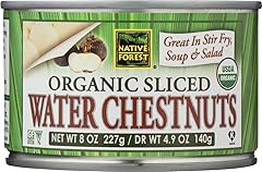 Native Forest Organic Sliced Water Chestnuts - Water Chestnuts Sliced Canned Organic, Water Chestnuts Canned, USDA Organic - 