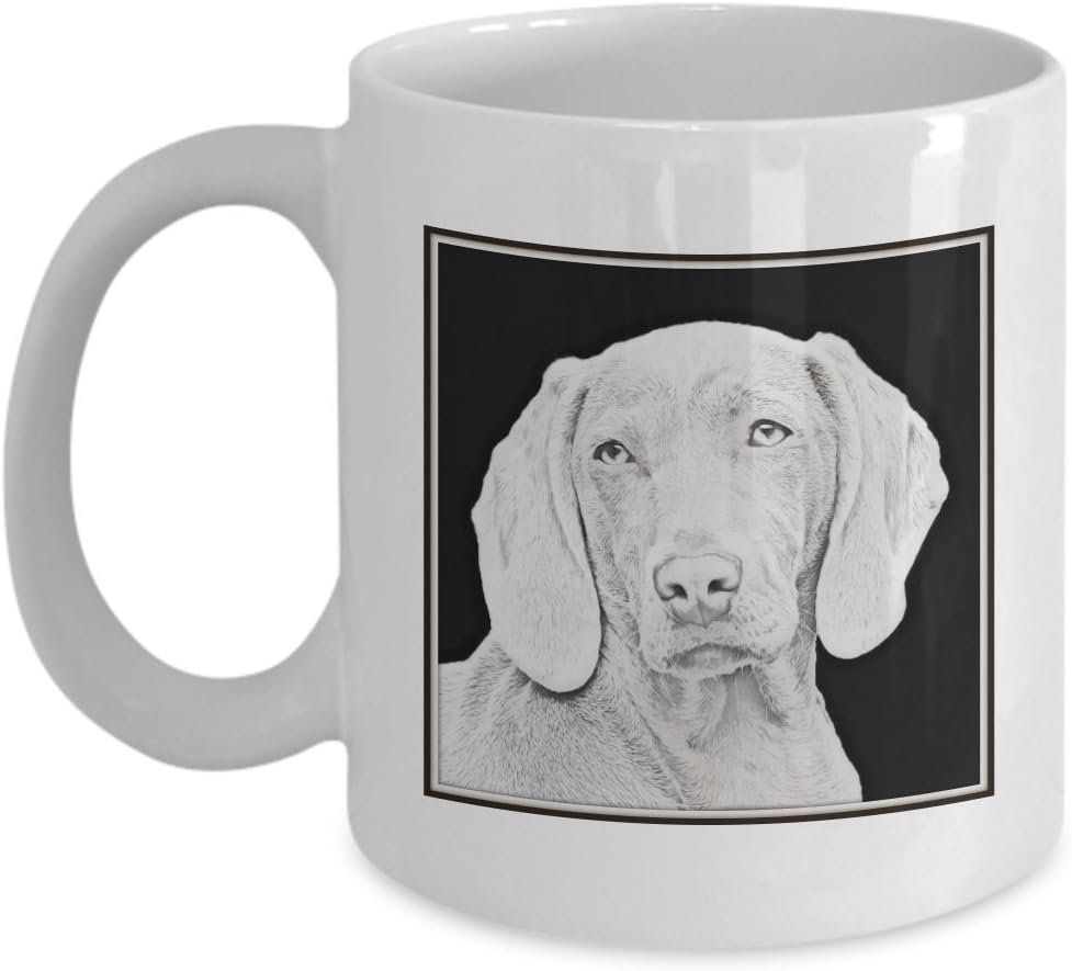 best food for guppies and tetras