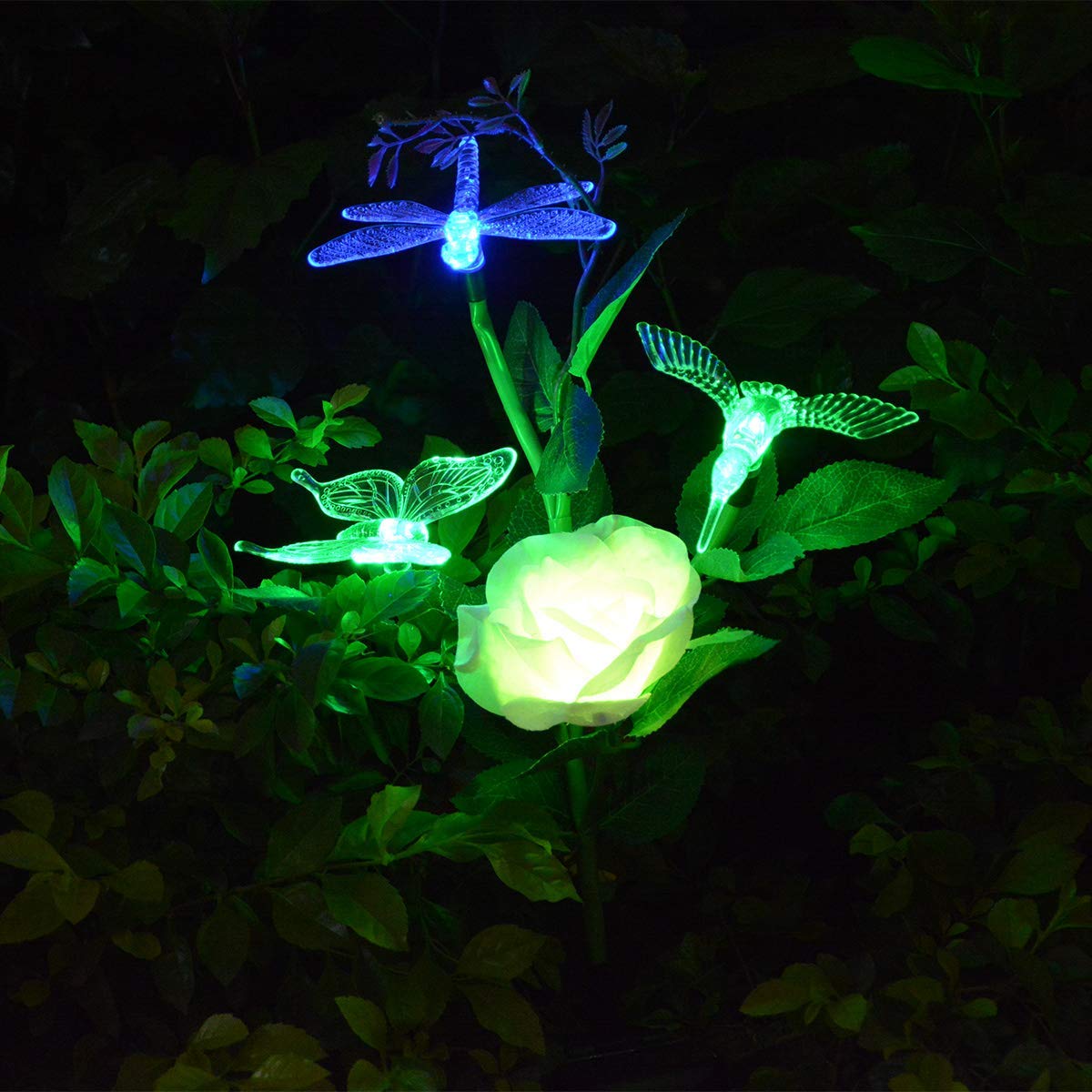 Best Butterfly Garden Stake Life