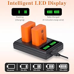 Pickle Power NP-FW50 Battery and LED Display