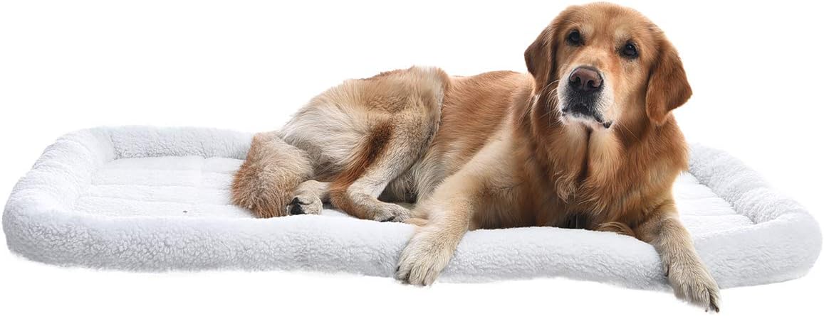 Basics Faux-Sherpa Padded Bolster Pet Bed, X-Large (46 x 28 Inches) : Pet Supplies