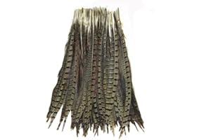 KOLIGHT Set of 10pcs Natural Dyed Pheasant Tails Feathers 12-14 Inch DIY Decoration (Natural)