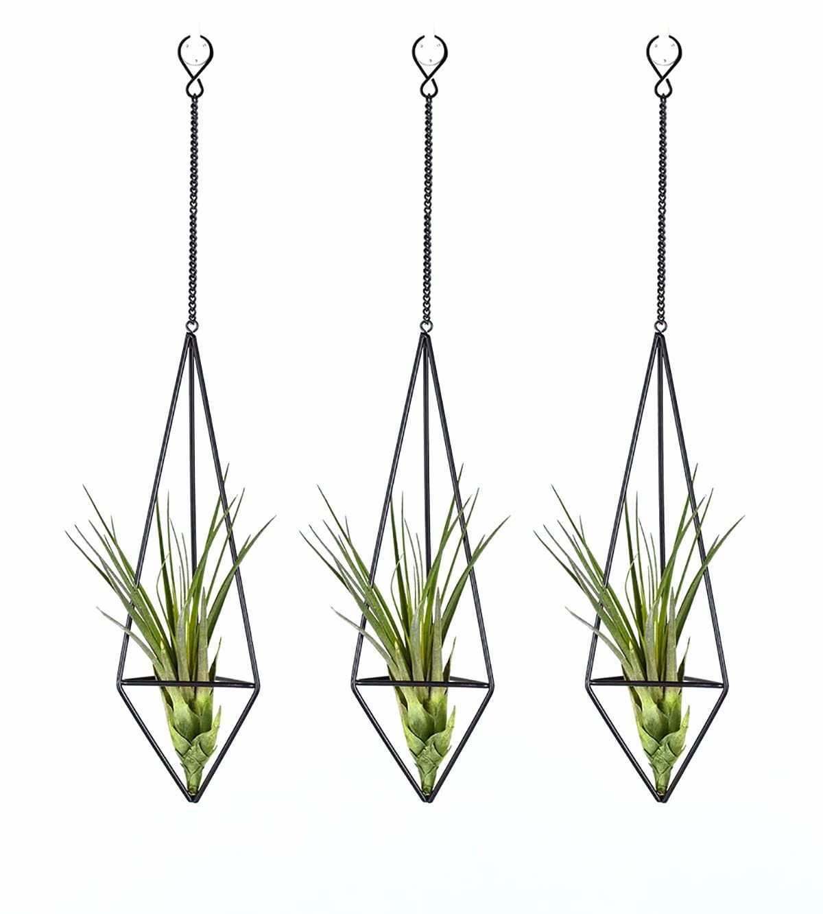 Ecosides Air Plant Holder Sets of 3,Himmeli for Tillandsia, Modern Metal Wall Decor Small Hanging Air Plant Rack Freestanding Container Airplant Display with Chains,Black,Medium
