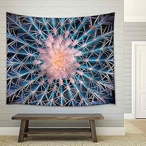 Cactus Close Up - Fabric Wall Tapestry Home Decor - 51x60 inches