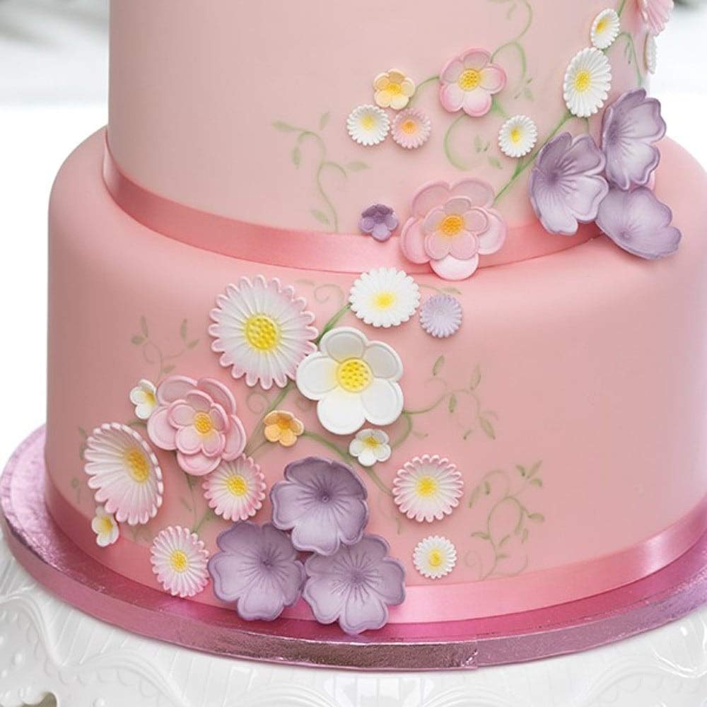 Cake Star Push Easy Plunger Cutters - Flowers Set of 6