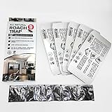 Cockroach Traps by Killer Green - Non-Toxic All Natural with Pheromone lure for trapping roaches and other insects- 5 Pack