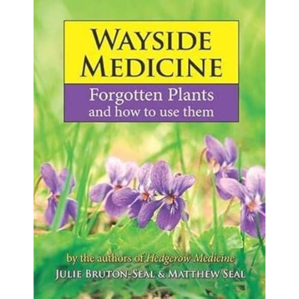 Wayside Medicine: Forgotten Plants to Make Your Own Herbal Remedies: Forgotten Plants and how to use them