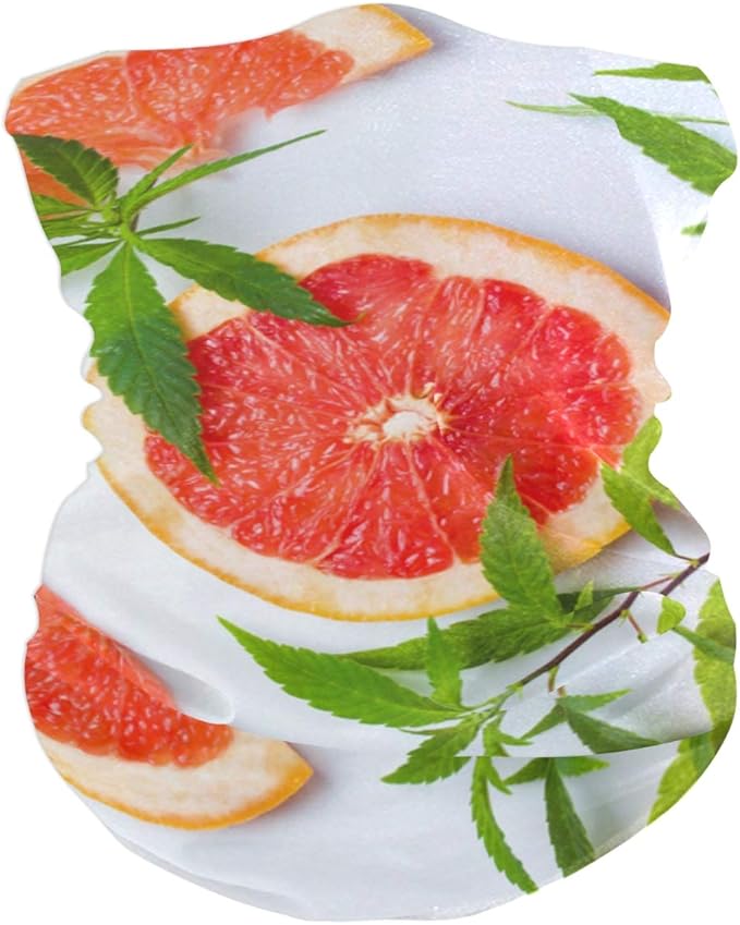 Reopx Pomelo Comida de Verano Bandas elásticas Cabeza Envoltura en ...