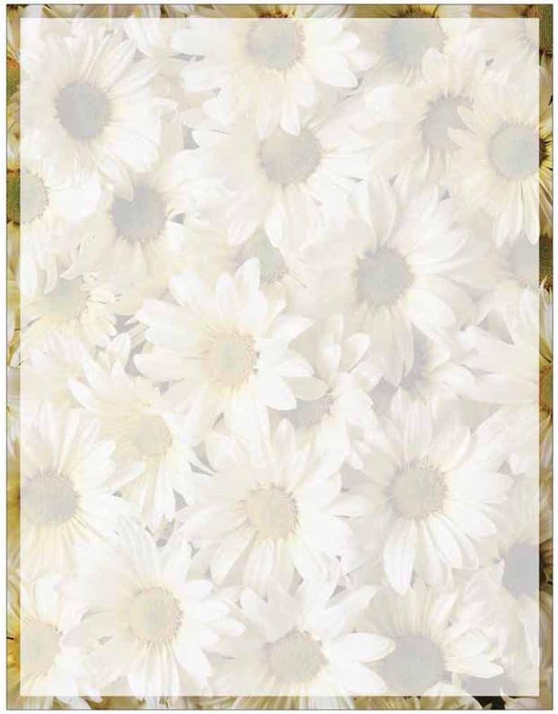 Full Daisies Print with Border Stationery Letter Paper - Floral Flower Theme Design - Gift - Business - Office - Party - School Supplies : Office Products