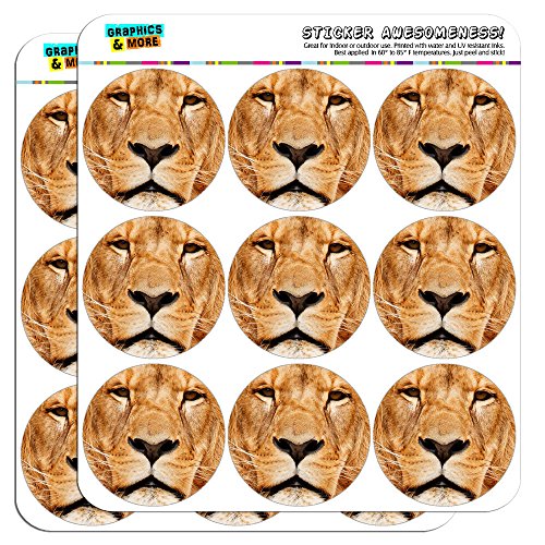 Portrait of a Male Lion 2" Planner Calendar Scrapbooking Crafting Stickers - Opaque