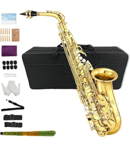 Amazon.com: Cadway Alto Saxophone Eb beginner Saxophone