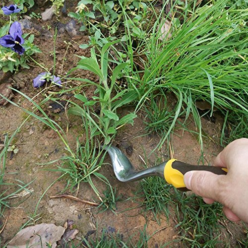 Best Weed Tool Garden Flower Bed