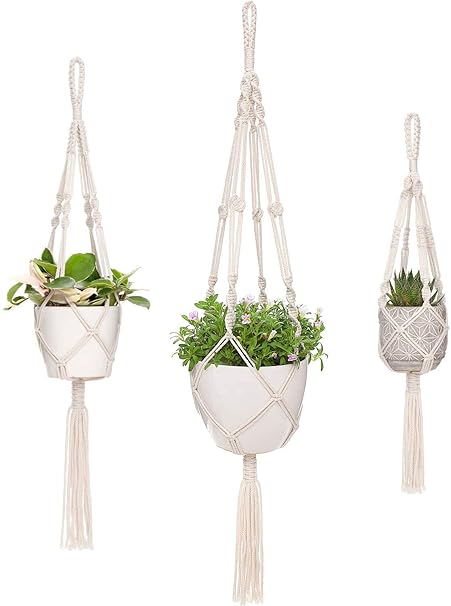 ecofynd Cotton Plant Hanger, Ivory, 3 Pack