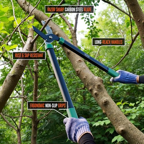 Scotts 21 in. Anvil Lopper – Heavy-Duty Branch Cutter with Teflon-Coated Carbon photo 8