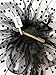 Czioe Flower Cocktail Tea Party Headwear Feather Fascinators Top Hat for Girls and Women (1-a-black)