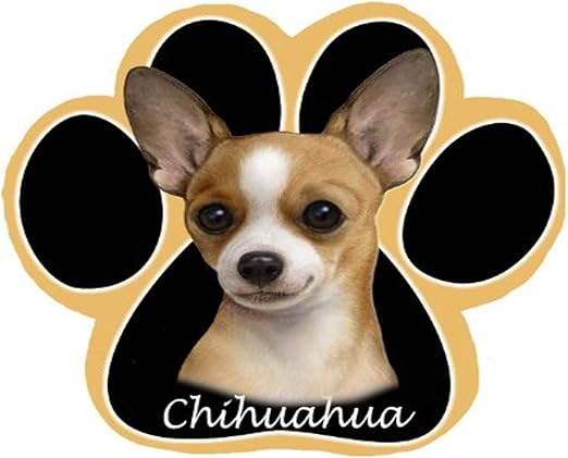 chihuahua amazon
