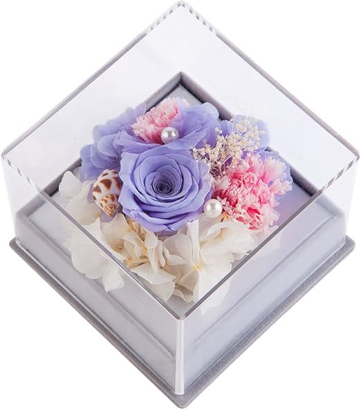 amazon ideas regalos