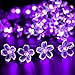 Fairy Lights Christmas Decorative Lights 33 Feet 100 LEDs, 8 Flash Modes with Tail Plug Connectable Cherry Flower Decoration Novelty Light for Party, Patio, Wedding, Home and Garden
