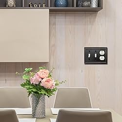 OKAWYC Double Toggle/Single Duplex Light Switch