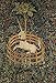Artifact Puzzles - Unicorn in Captivity Wooden Jigsaw Puzzle