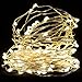 ER CHEN 165ft Led String Lights,500 Led Starry Lights on 50M Silver Copper Wire String Lights Power Adapter + Remote Control(Warm White)