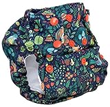 Smart Bottoms Dream Diaper (Enchanted)