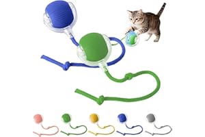 Pounce Pal Cat Toy, Interactive Cat Toy Ball with Tail, USB Rechargeable Rolling Cat Toys, 360° Motion for Indoor Cats and Ki