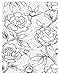 Hero Arts Cling Stamp, Large Flower Background