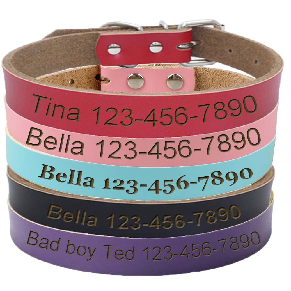ivisi DEEP Etch Personalized Dog Cat Leather Engraved Collar 4 Sizes Several Colors
