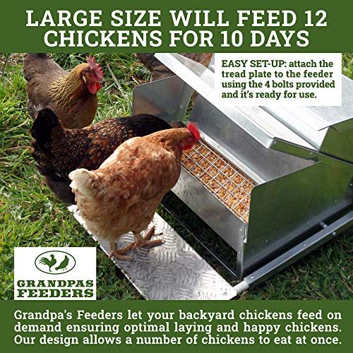 grandpas automatic chicken feeder