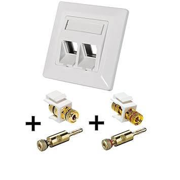 Faconet®® Keystone Unterputz Leerdose für 2 Keystone Buchsen inkl. 2X Keystone Modul Polklemme > Gewindebuchse (1x Rot, 1x Sc