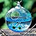 NewDreamWorld Table Aquarium Kit - 2 x 10 mm Aquatic Living Moss Balls Small Stones of Glass Black Fan Coral Branch in a 3.5