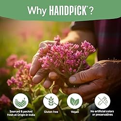 HANDPICK, Valerian Root Tea Bags (Valeriana) 50